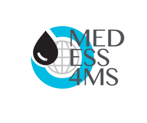 MEDESS4MS-Logo-Large-trans-300dpi